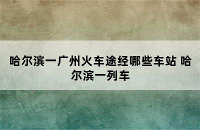 哈尔滨一广州火车途经哪些车站 哈尔滨一列车